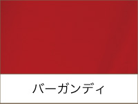 DSIロンドン バーガンディ